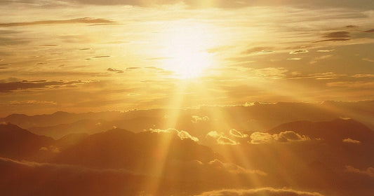 energy of the fire signs boost excercise