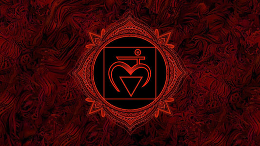 the root chakra.