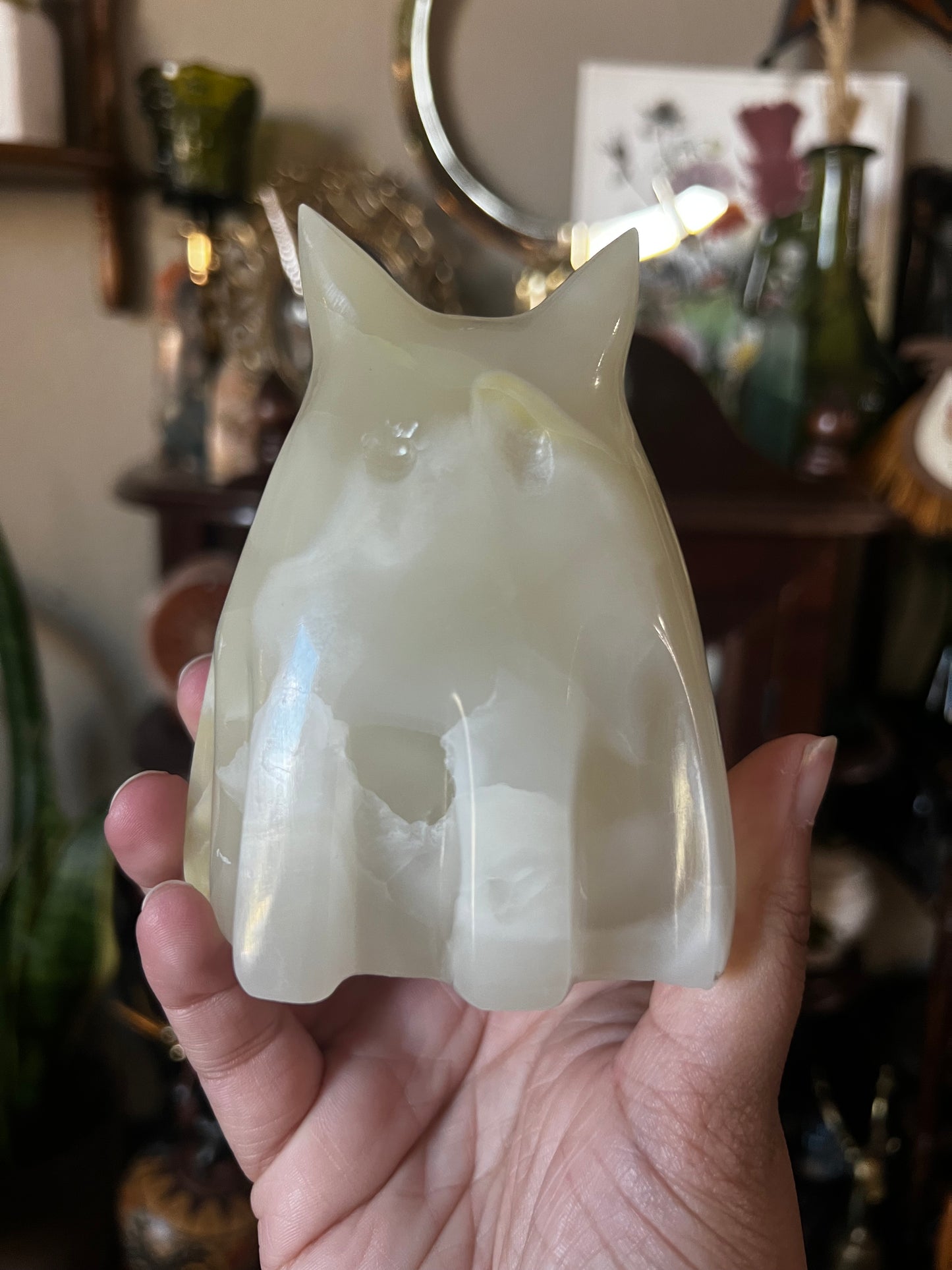 onyx ghost cats