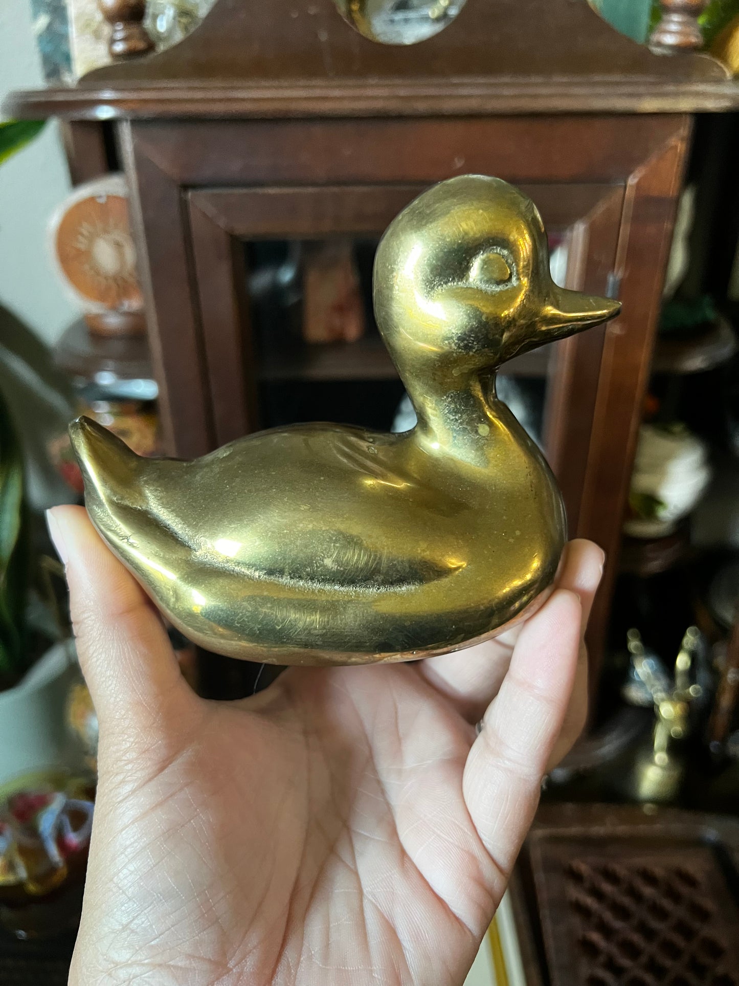 Brass duck
