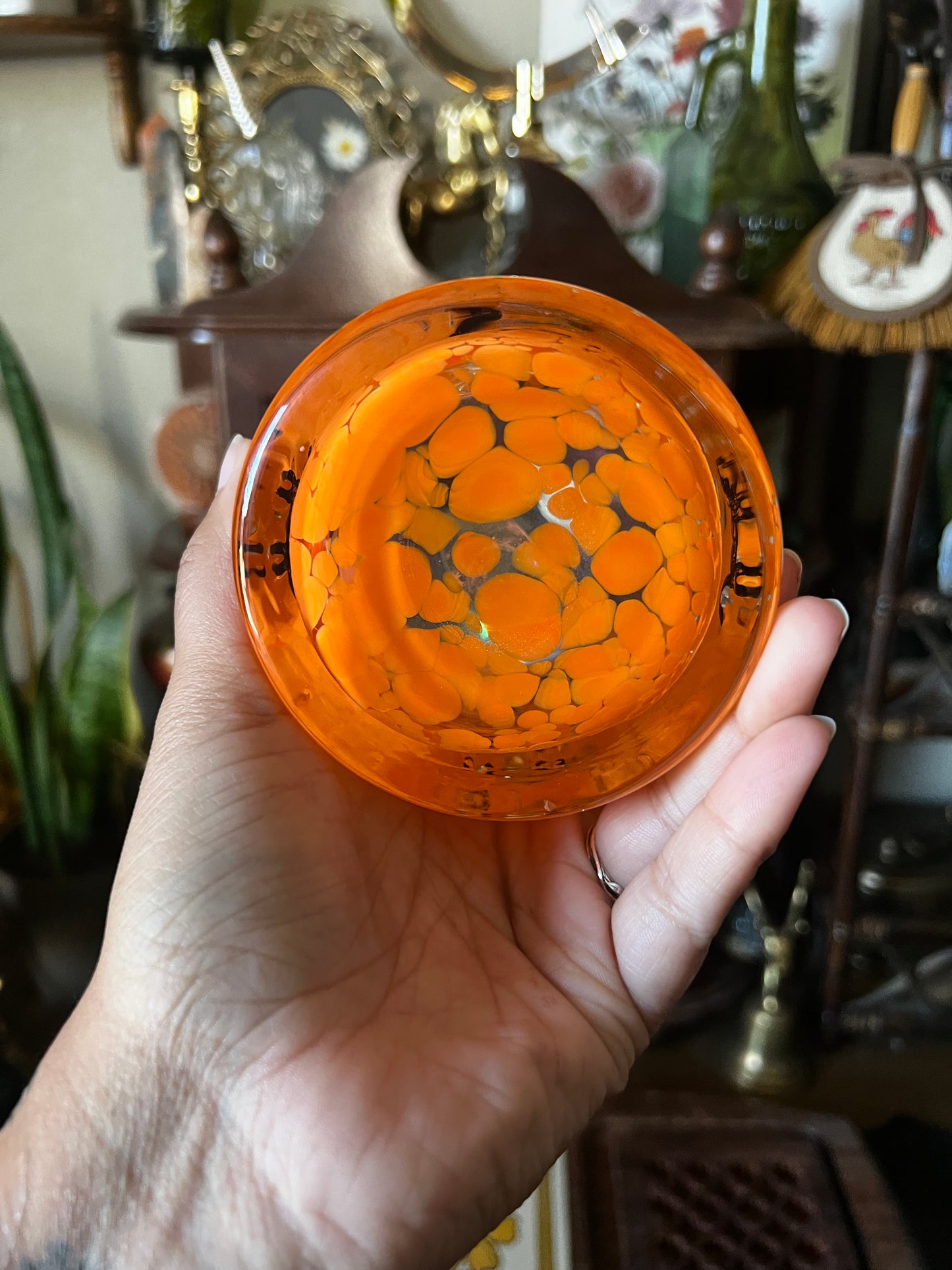 Halloween Cat Glass