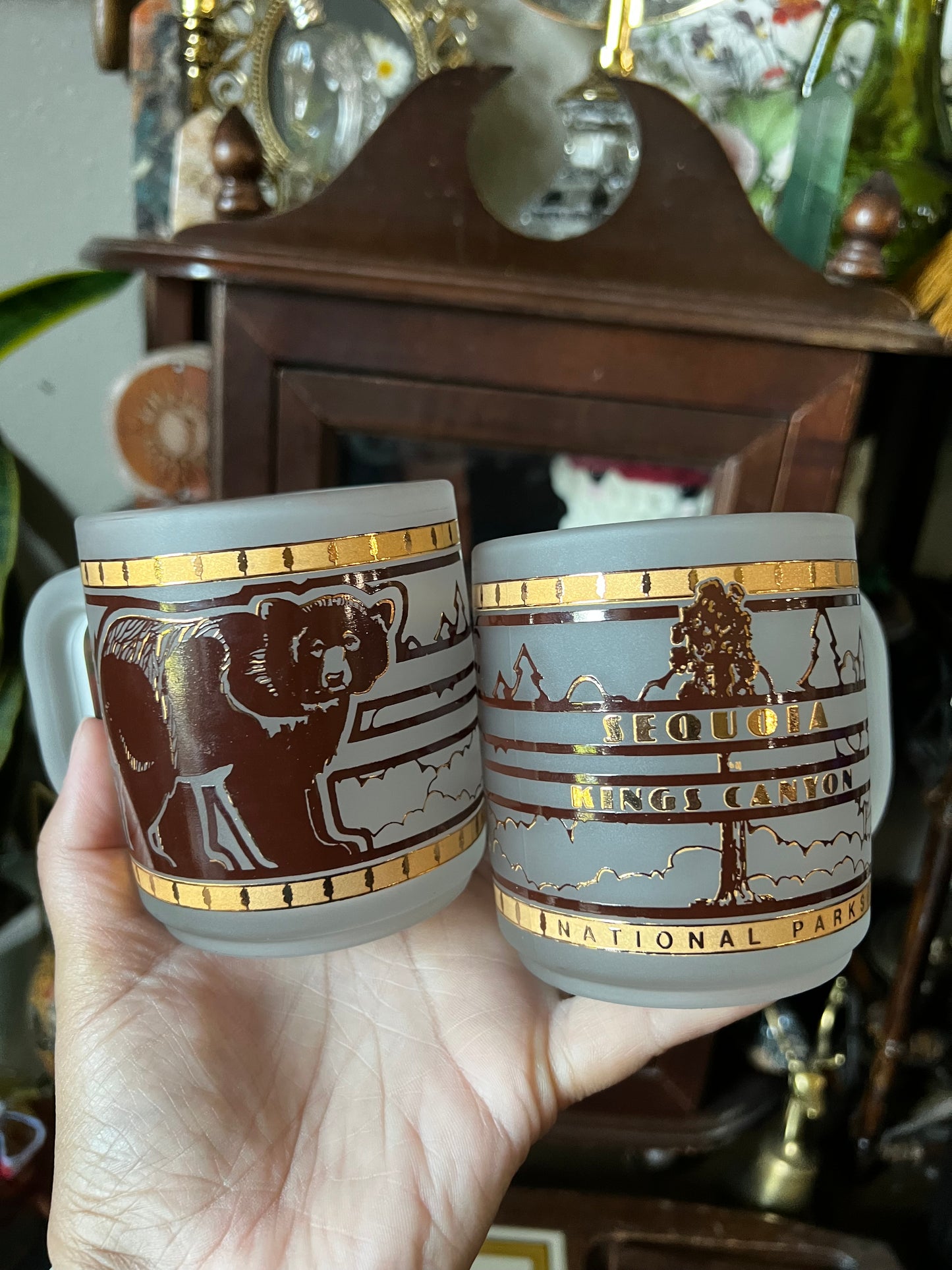National Park Mugs