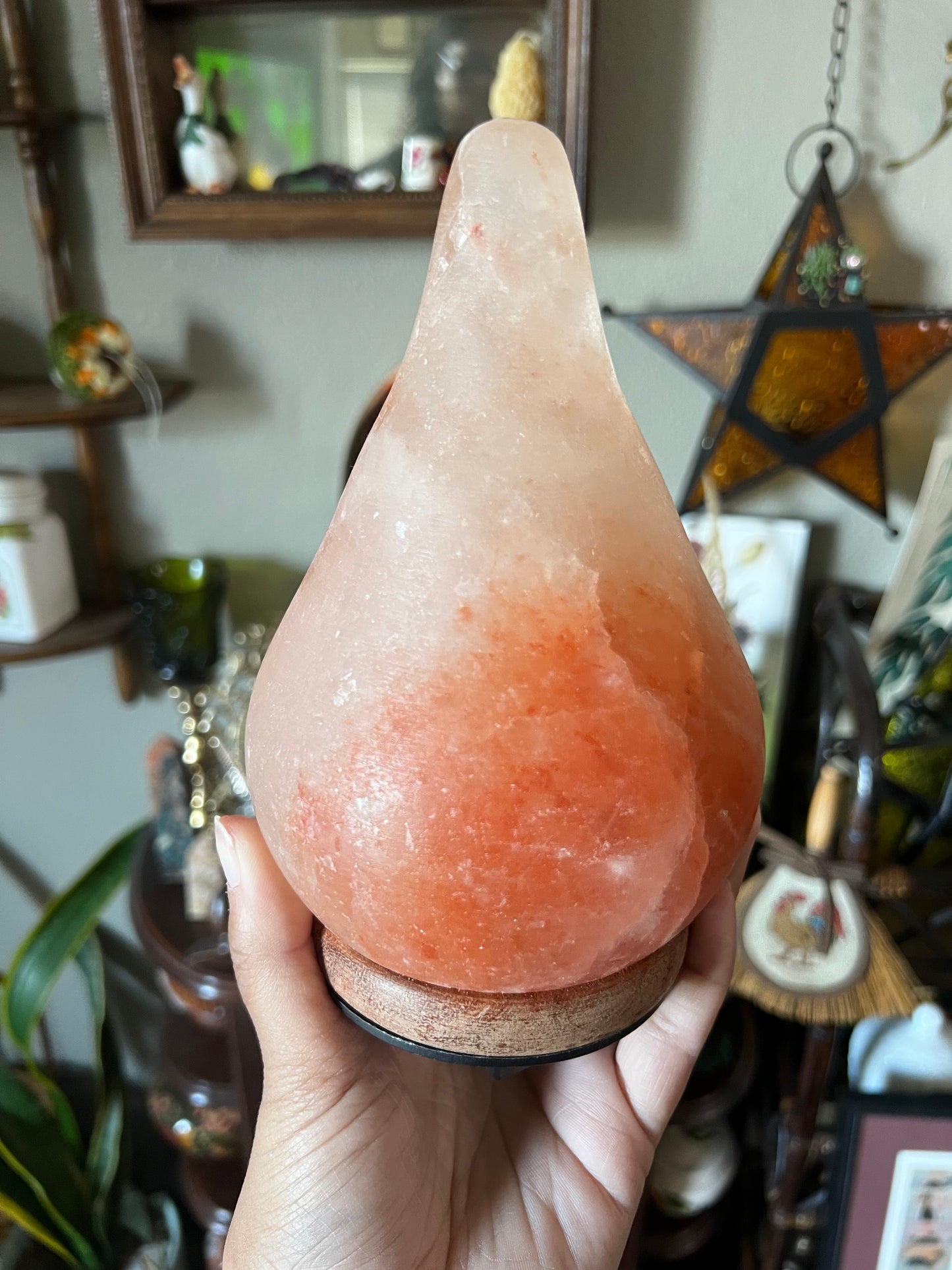 Himalayan Salt Lamp