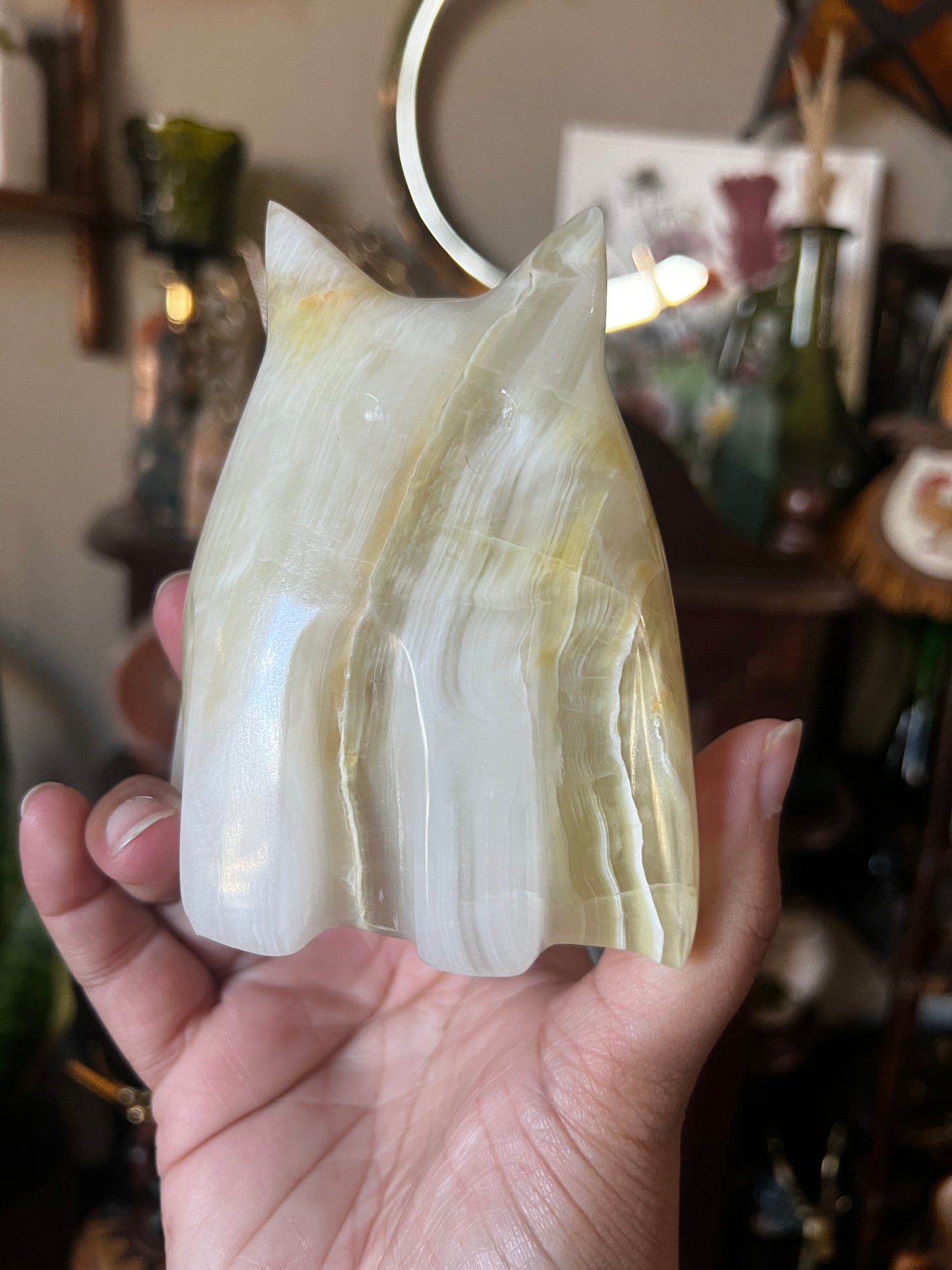 onyx ghost cats