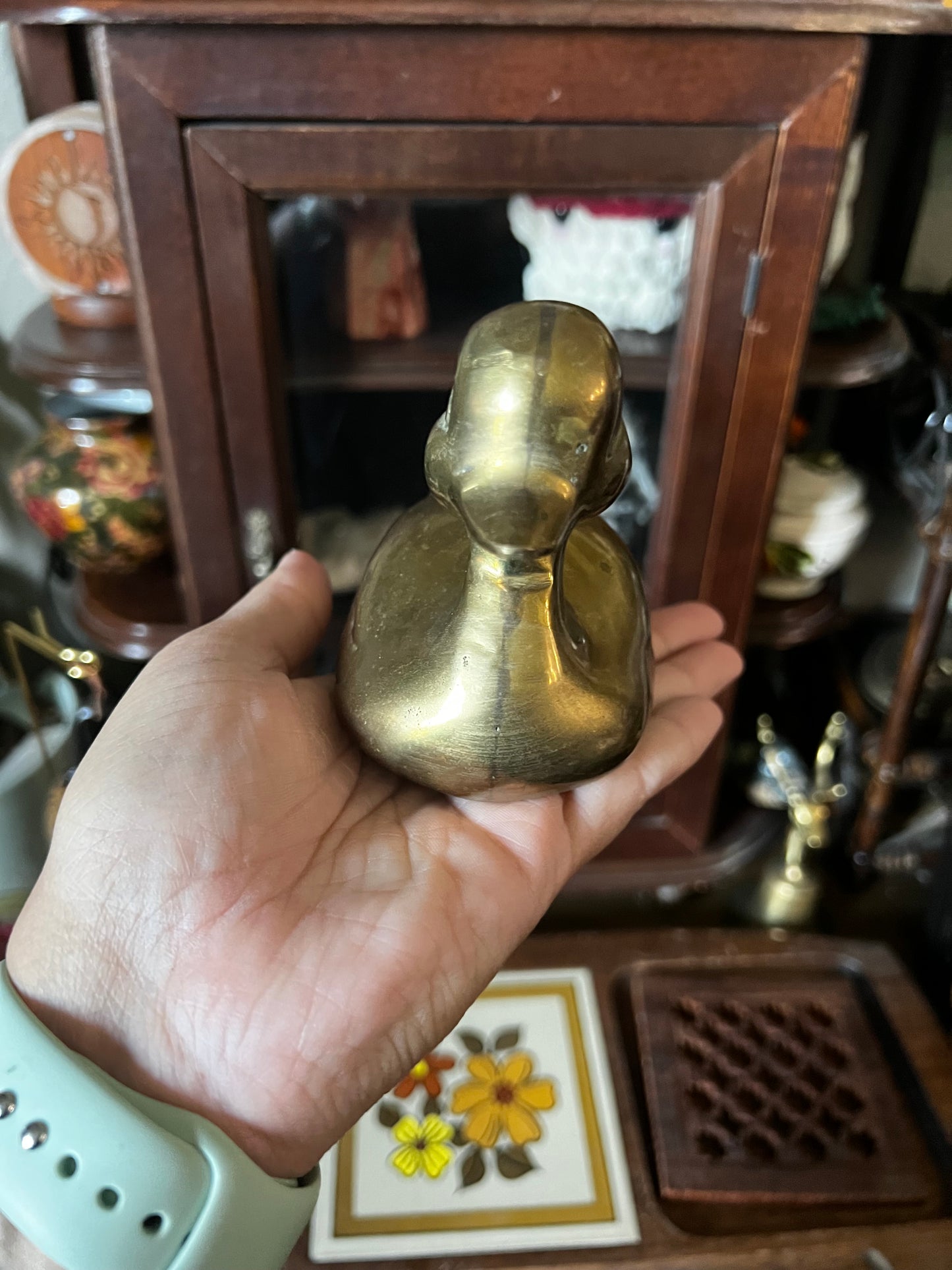 Brass duck