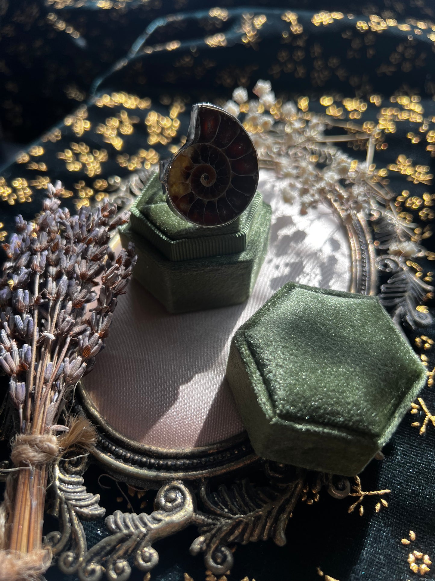 Ammonite Ring
