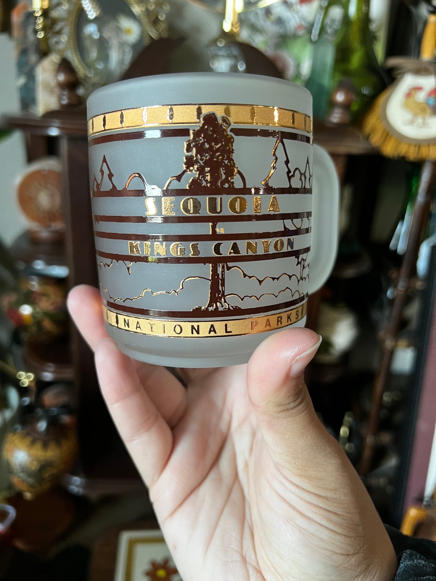National Park Mugs