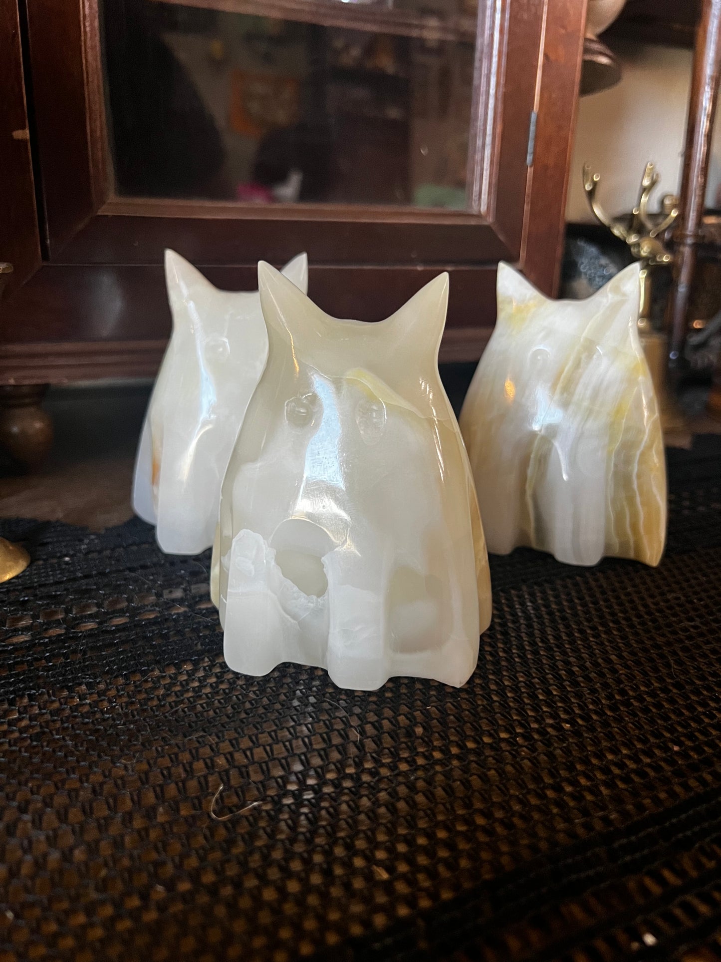 onyx ghost cats