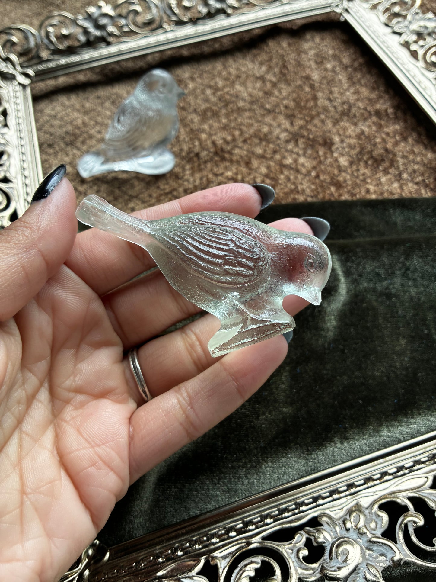 Glass Birds