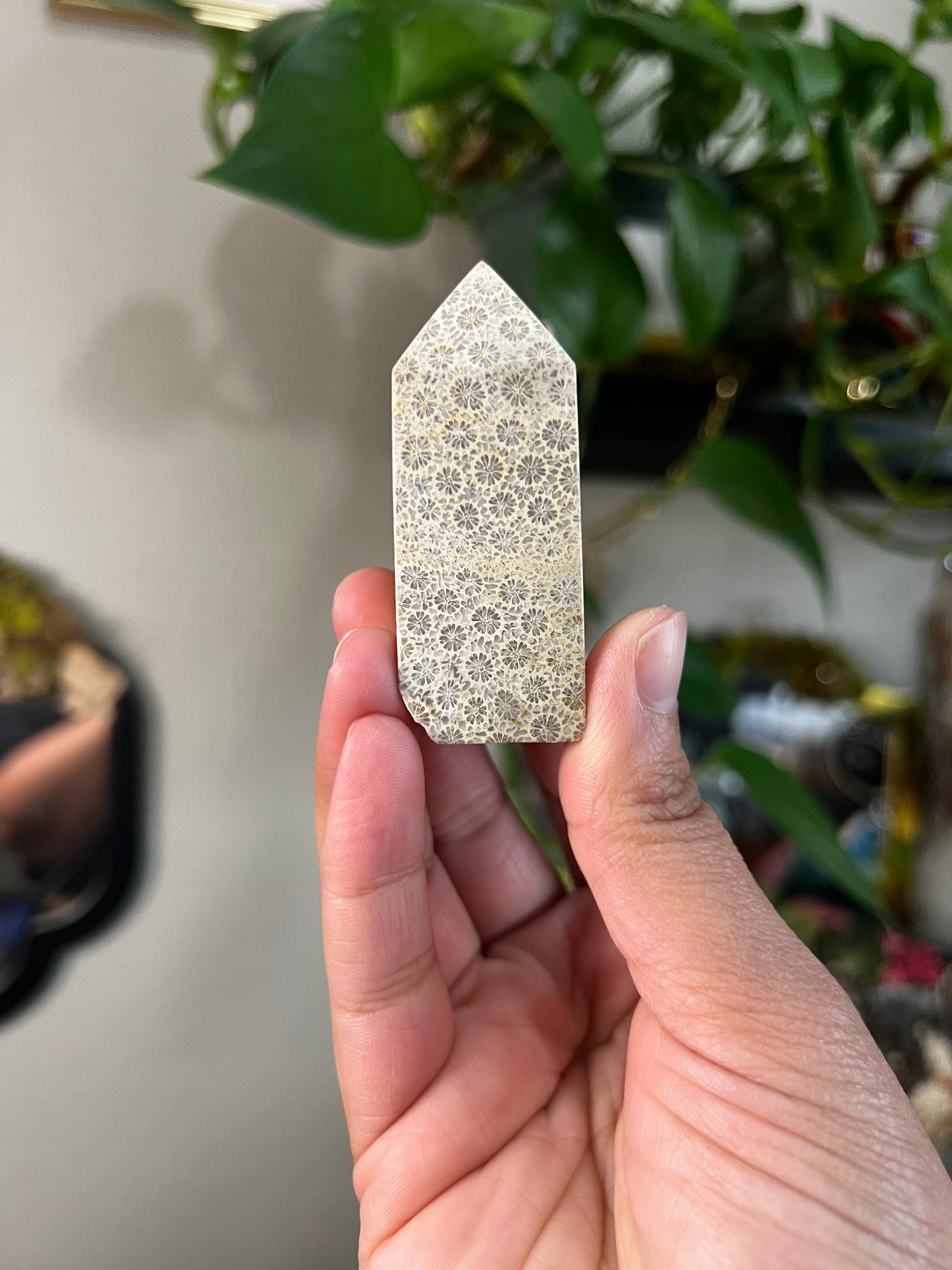 coral jasper towers