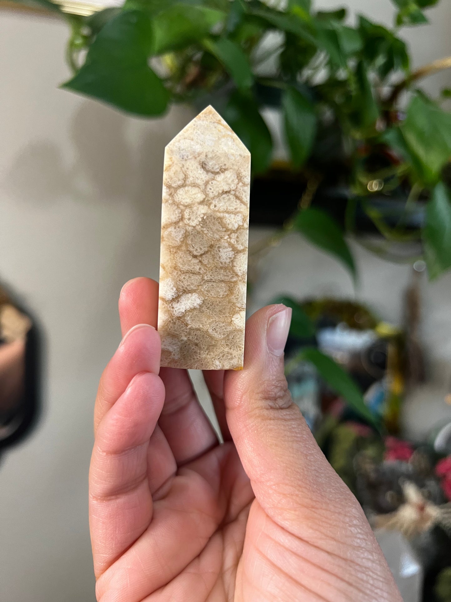 coral jasper towers