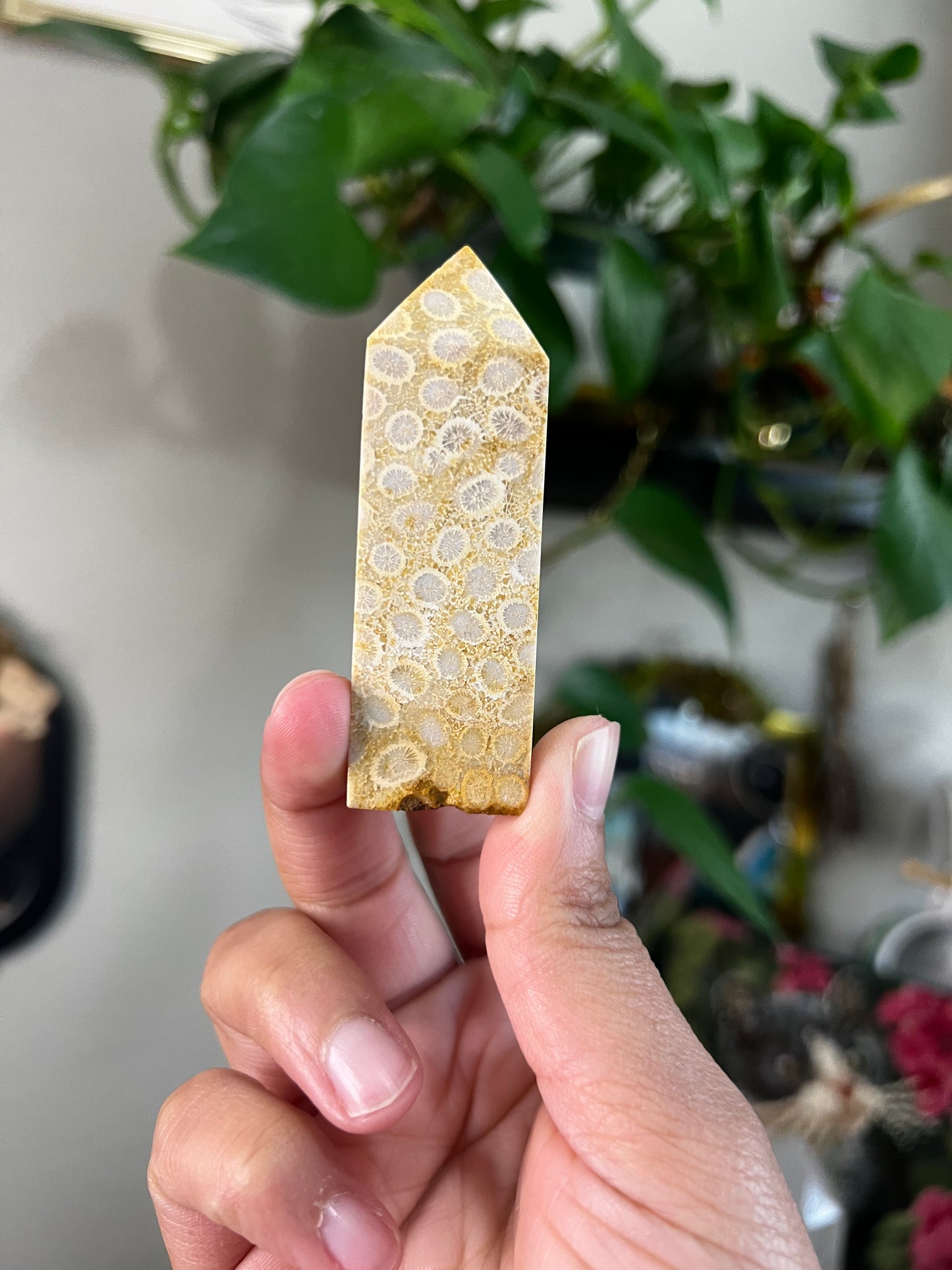 coral jasper towers