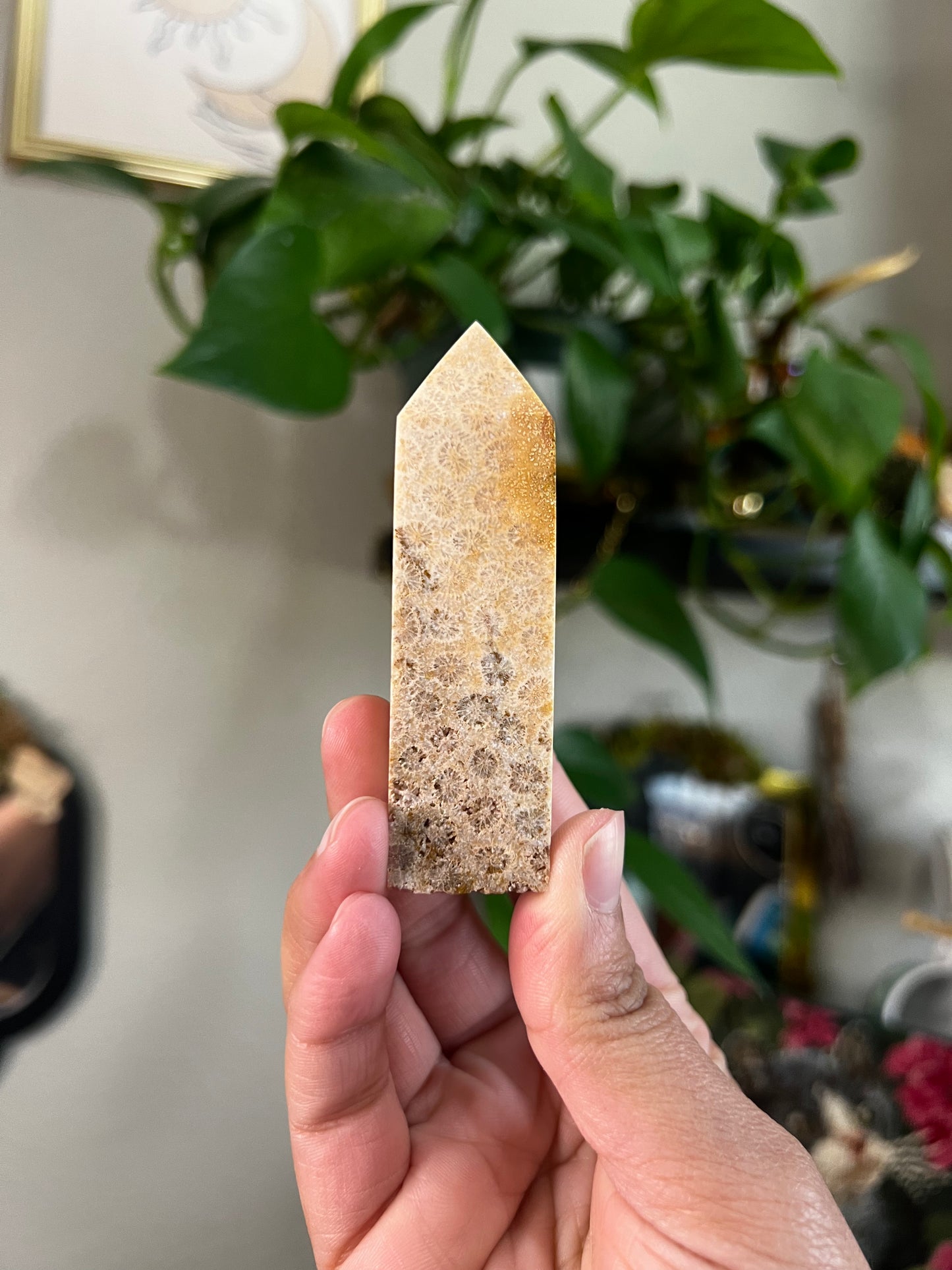 coral jasper towers