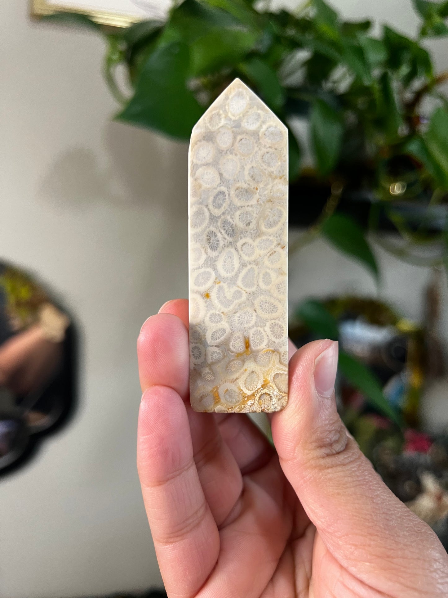coral jasper towers