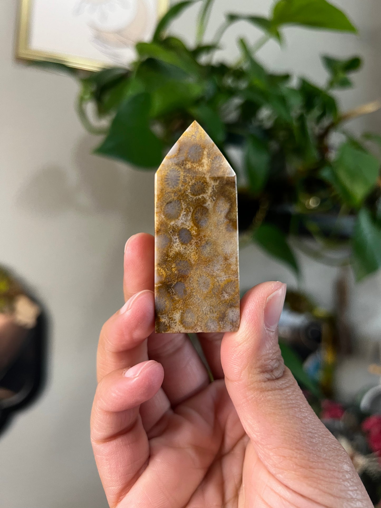 coral jasper towers
