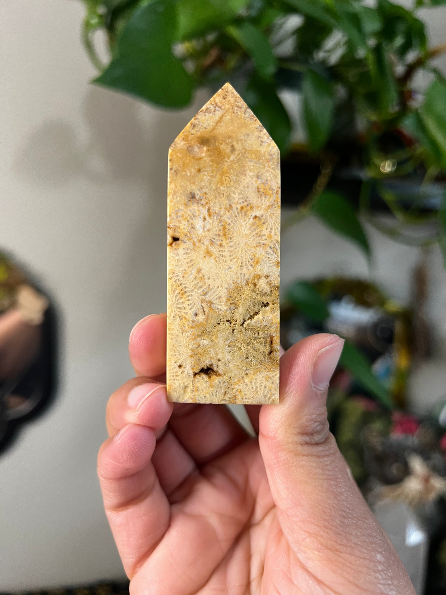 coral jasper towers