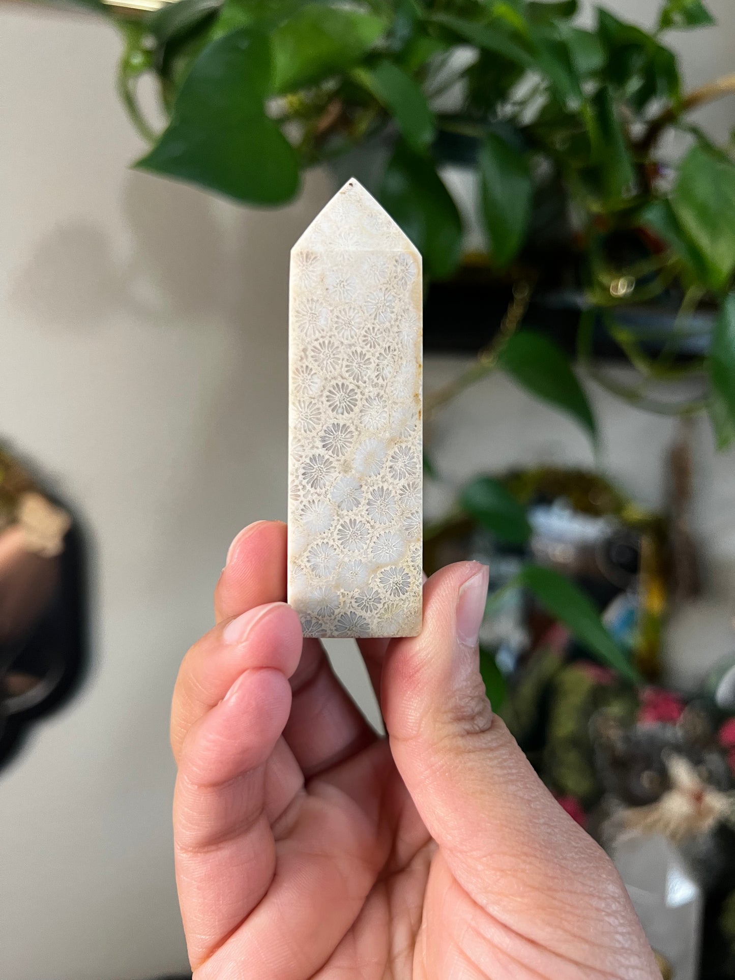 coral jasper towers