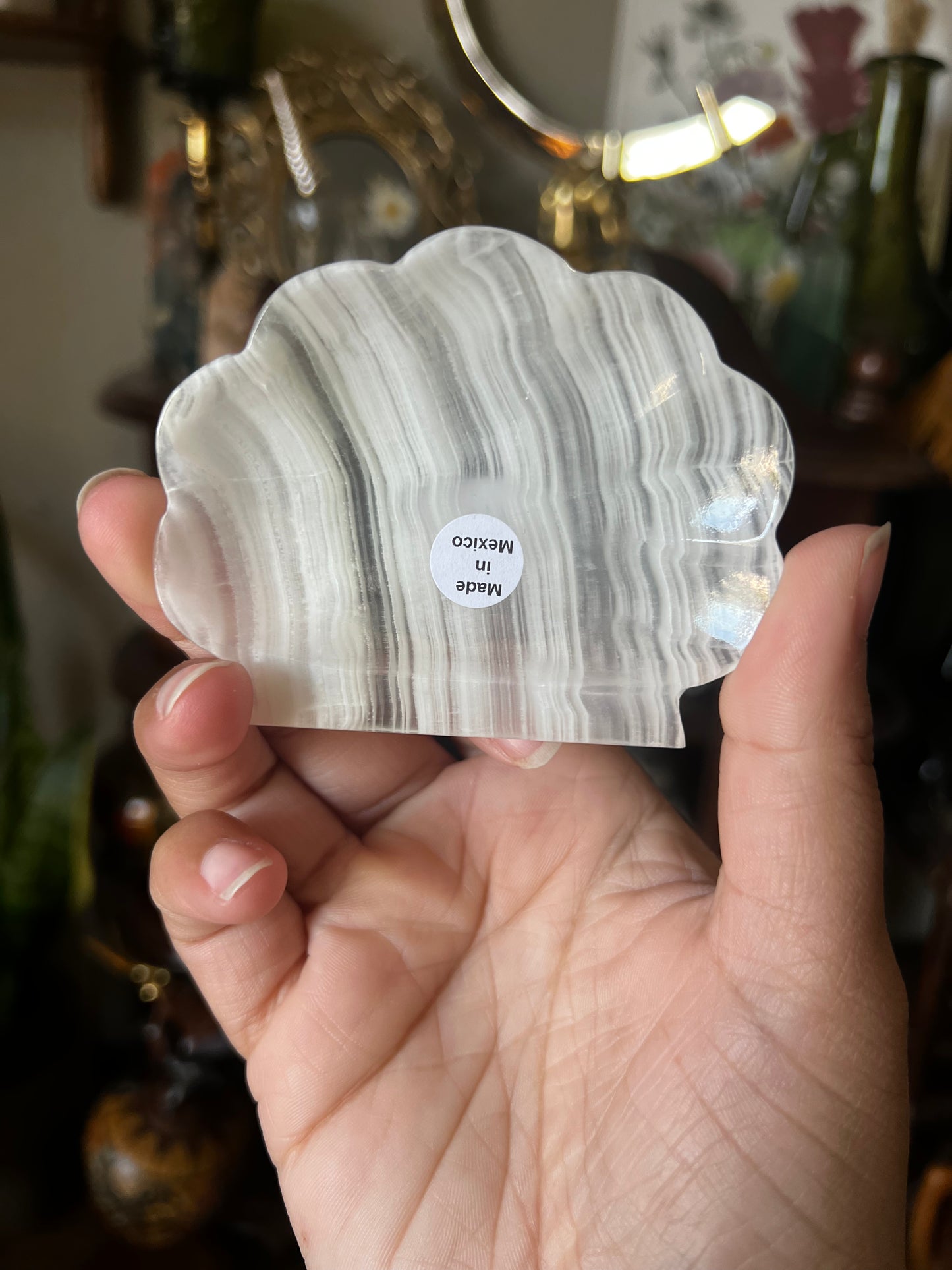 Onyx Mini Shell Trinket Trays
