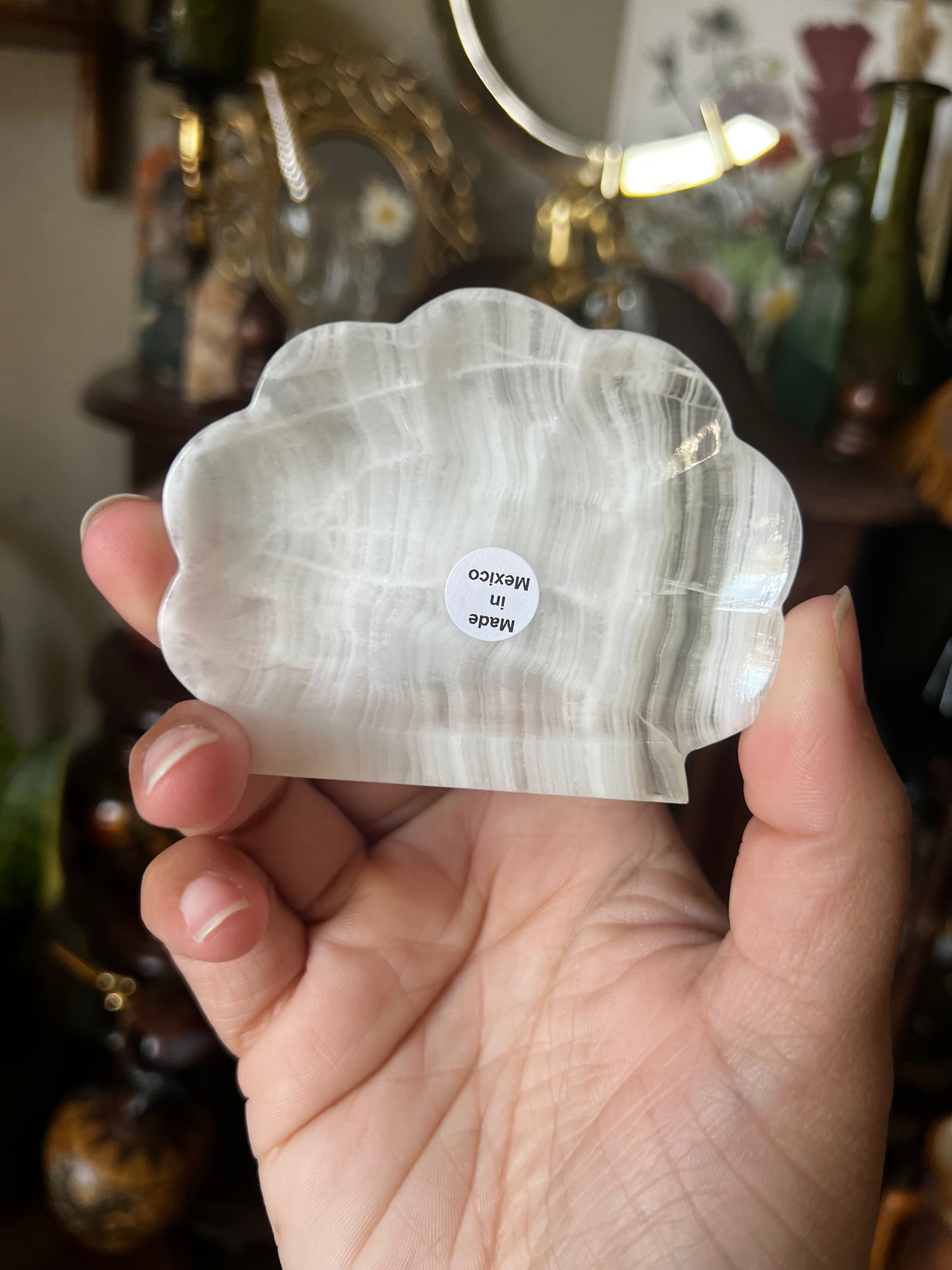 Onyx Mini Shell Trinket Trays
