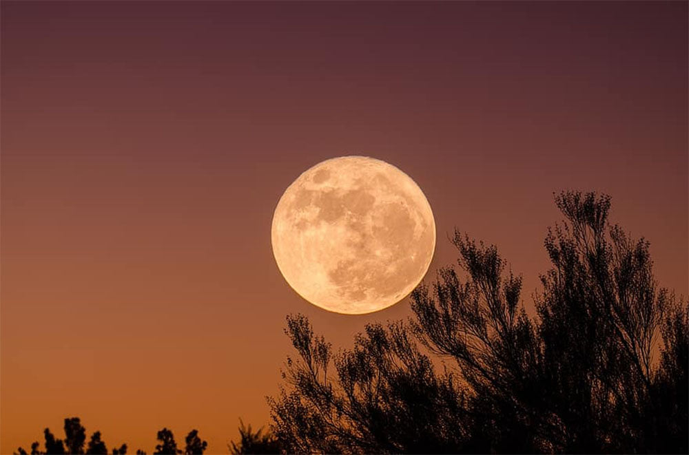 september's full harvest moon in aries.