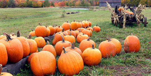 the autumnal equinox: mabon.