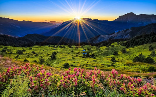 summer solstice, the first day of summer.