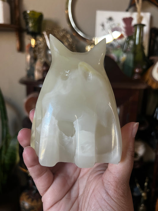 onyx ghost cats
