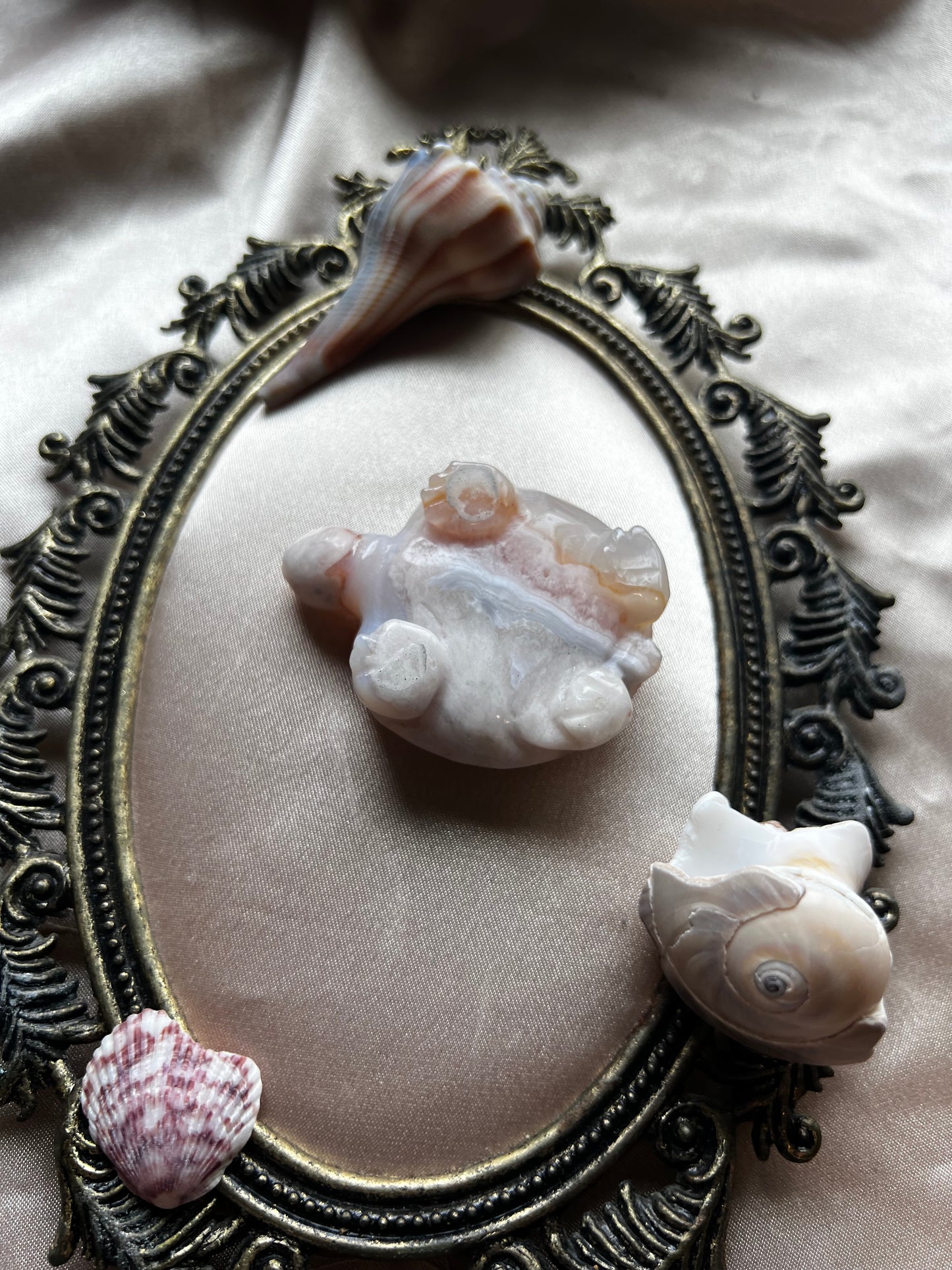 Flower Agate Turtle