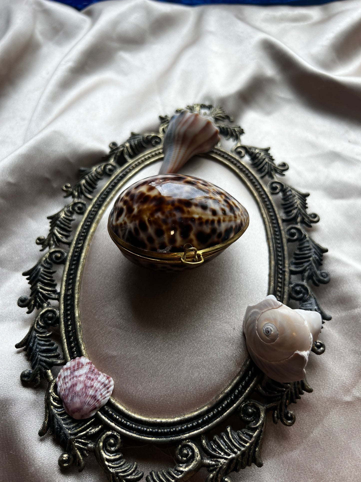 Vintage Tiger Cowie Shell Coin Purse