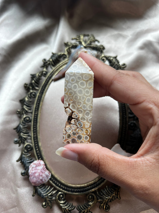 Fossilized Coral Towers