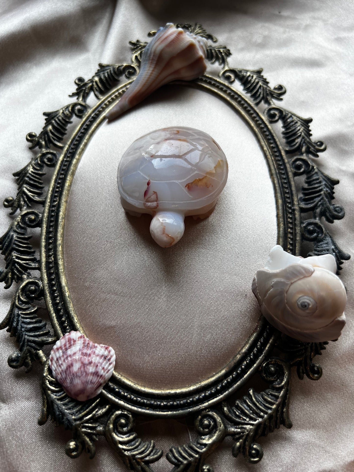 Flower Agate Turtle
