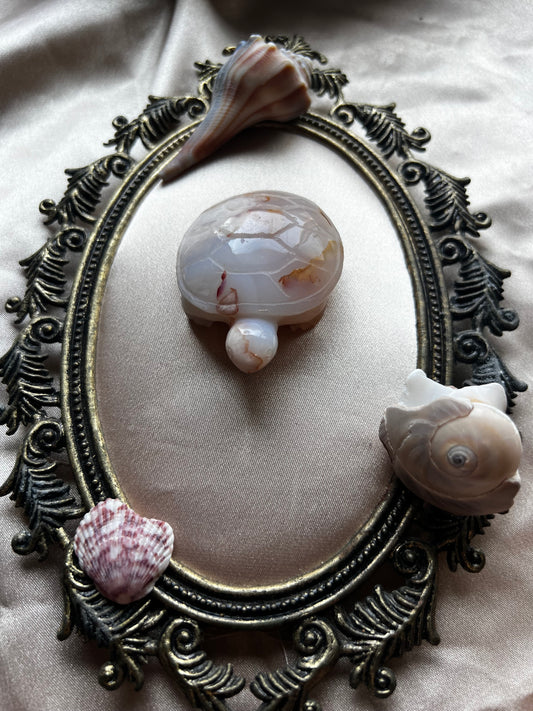 Flower Agate Turtle
