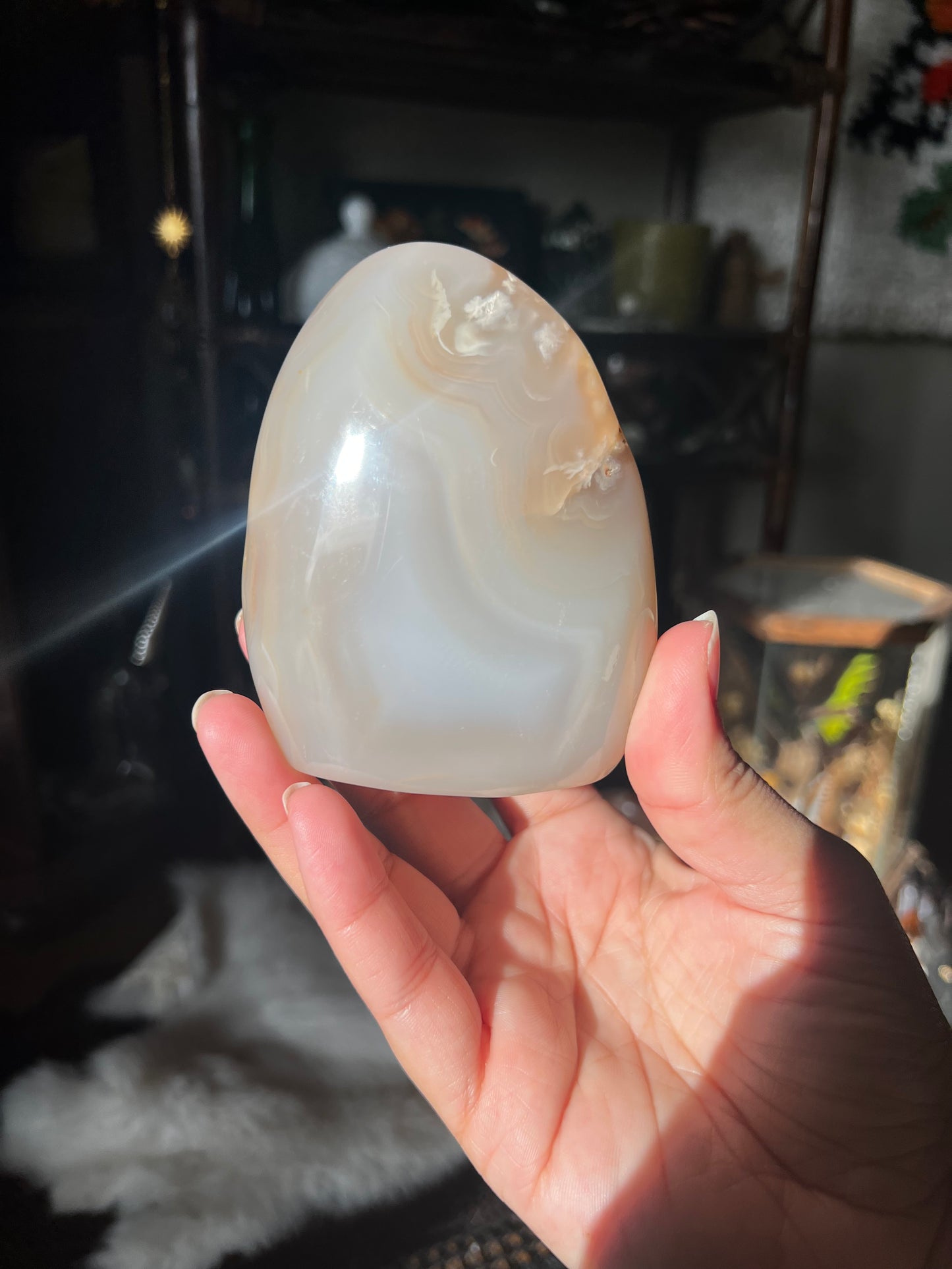 Flower Agate Freeforms