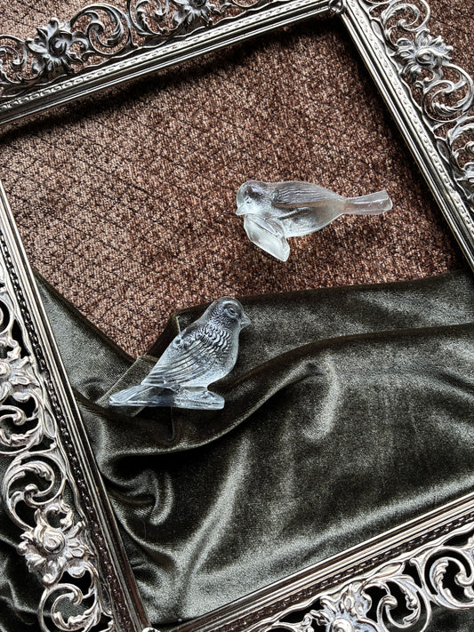 Glass Birds