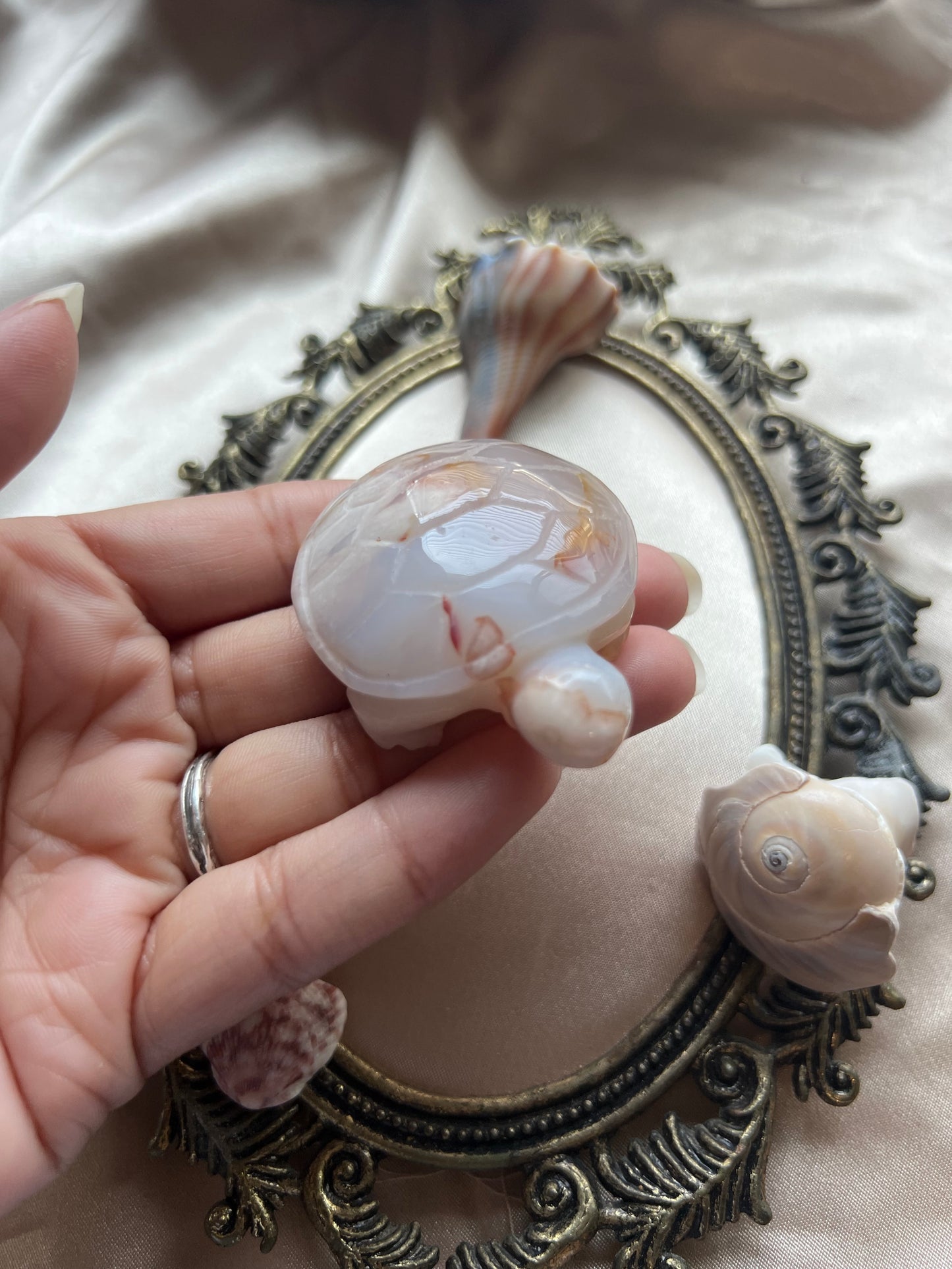 Flower Agate Turtle