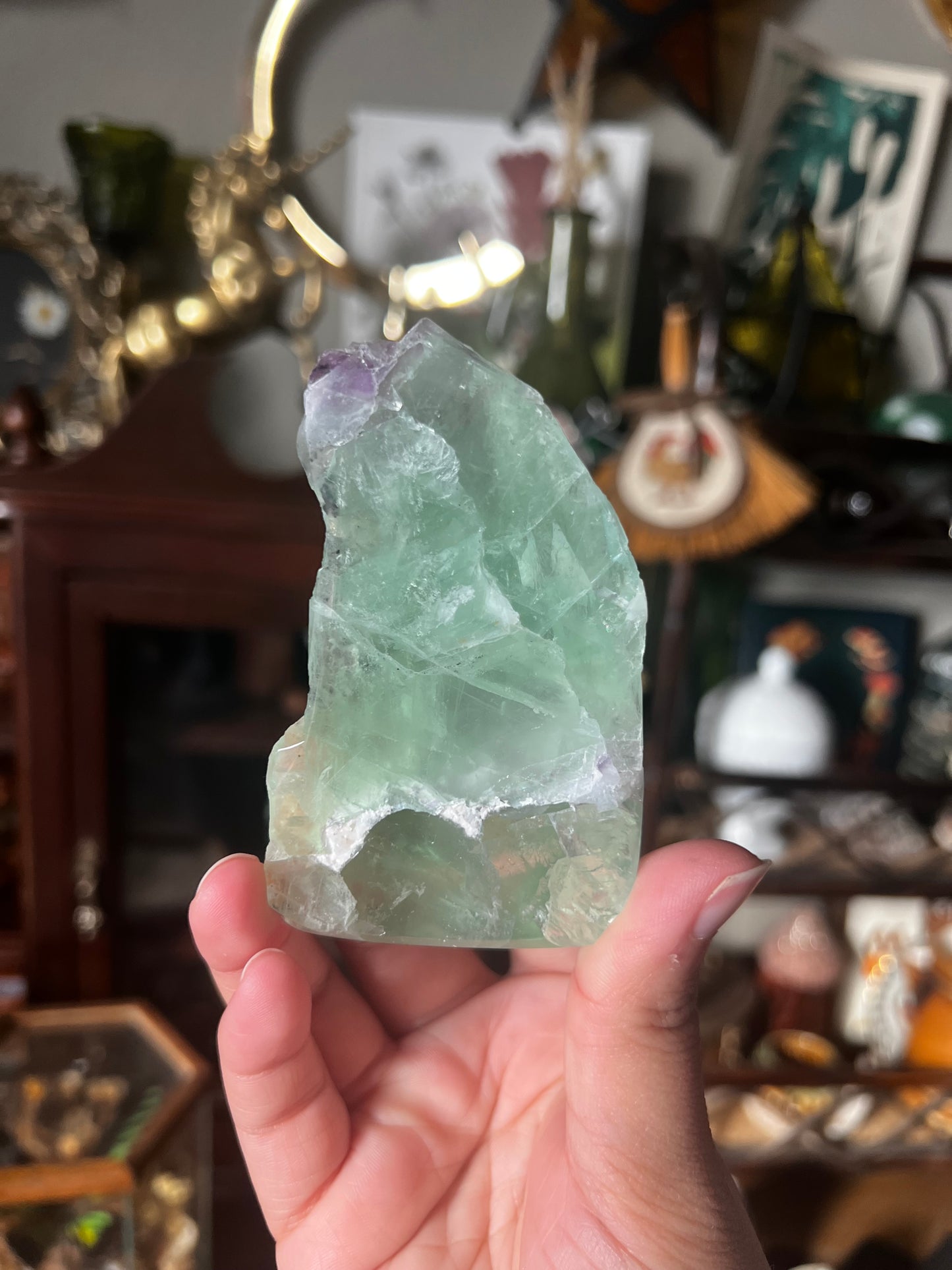 Front Polished Fluorite Freeforms