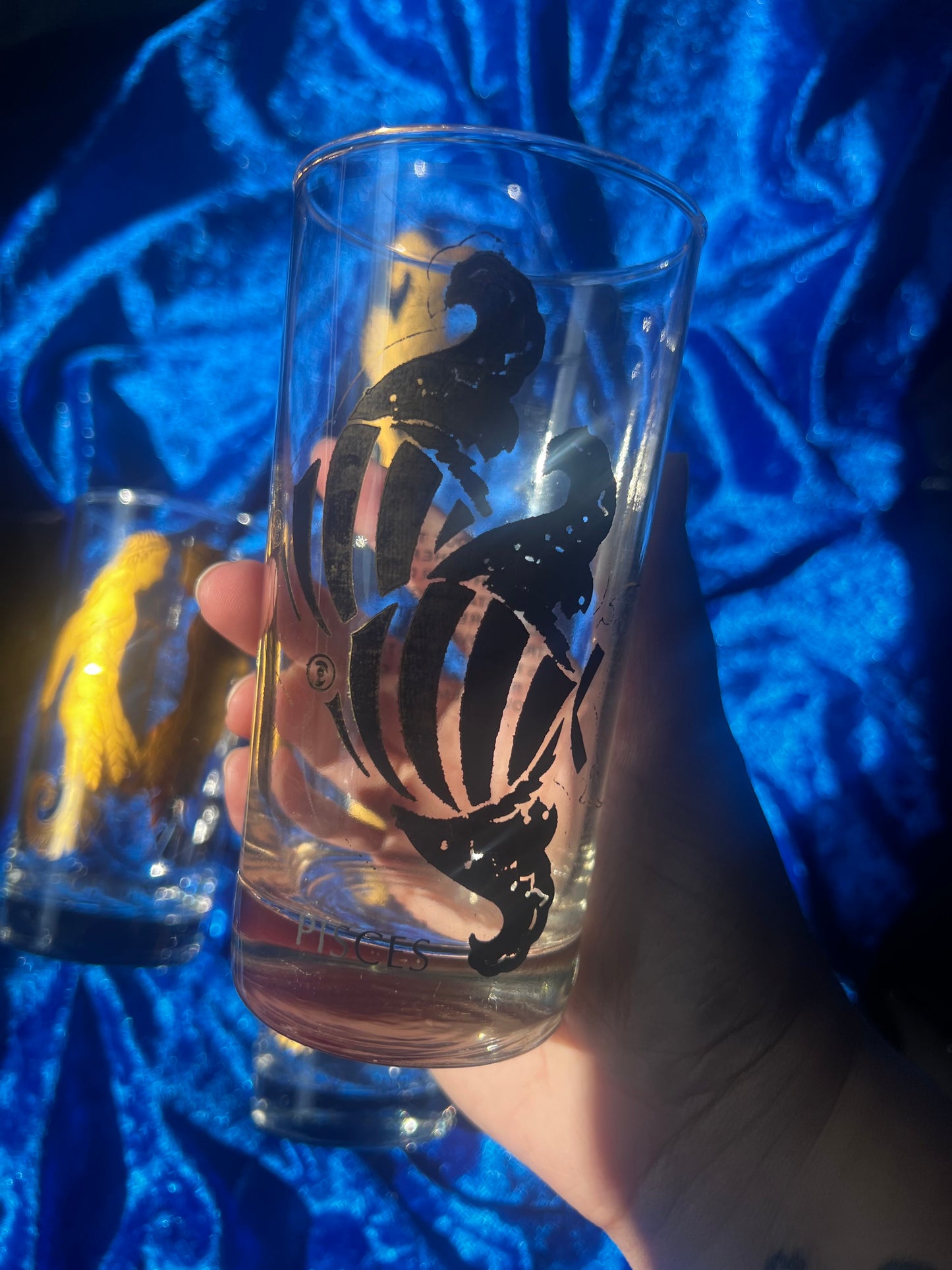 Vintage Zodiac Glass Cups