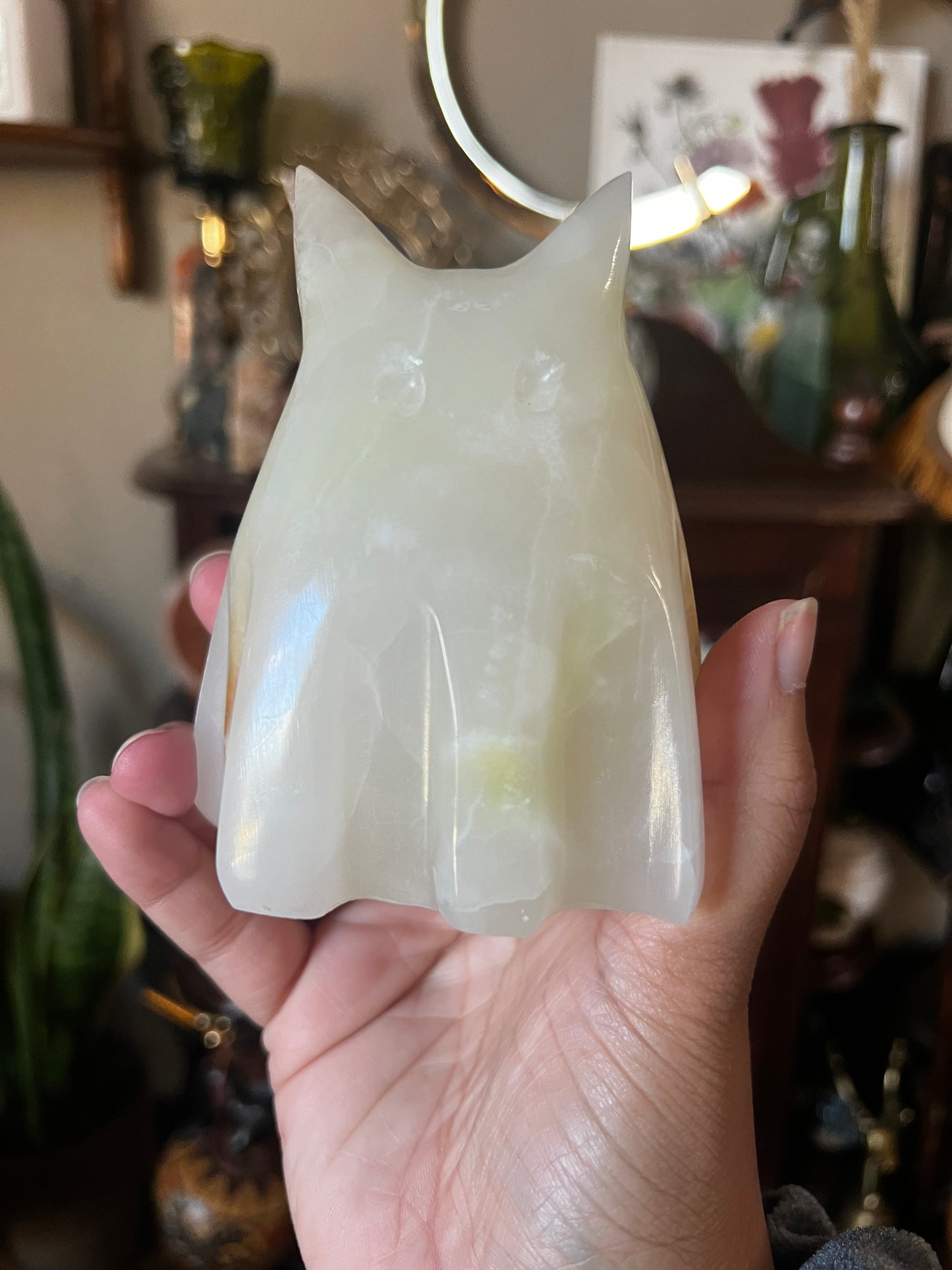 onyx ghost cats