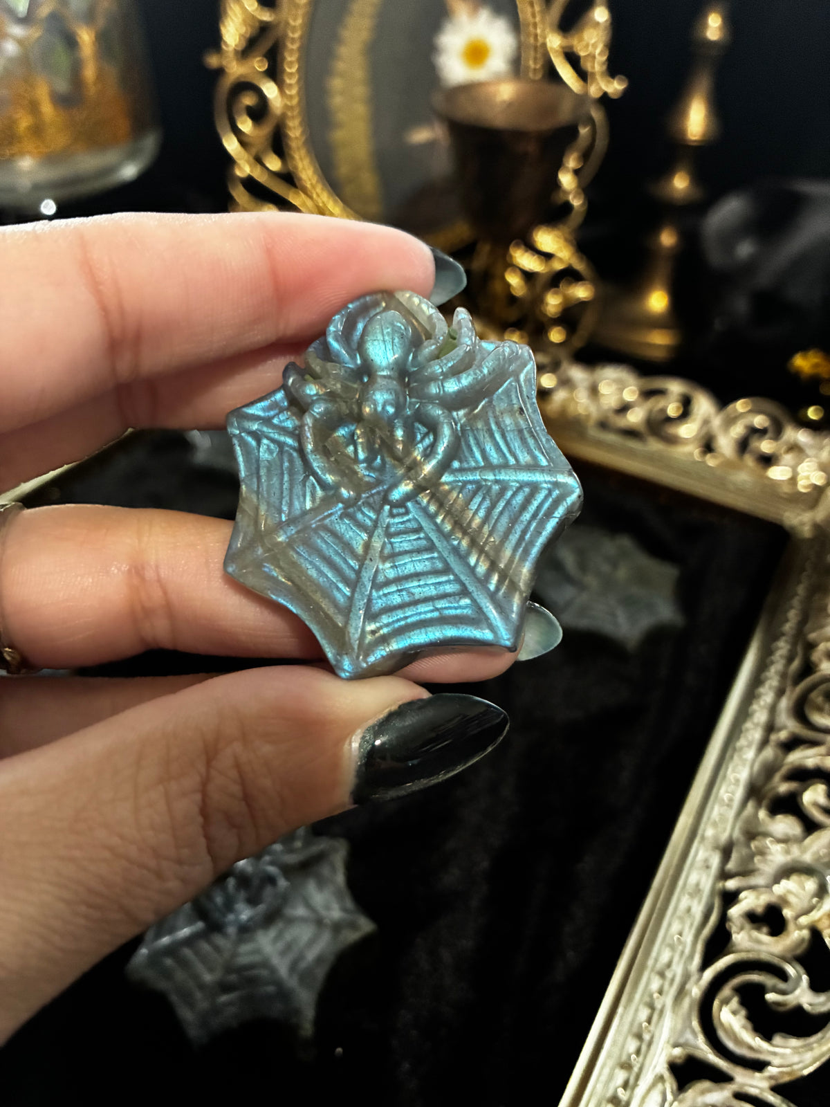 Labradorite Spiders in Webs