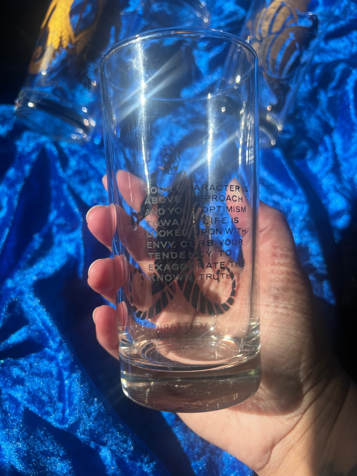 Vintage Zodiac Glass Cups