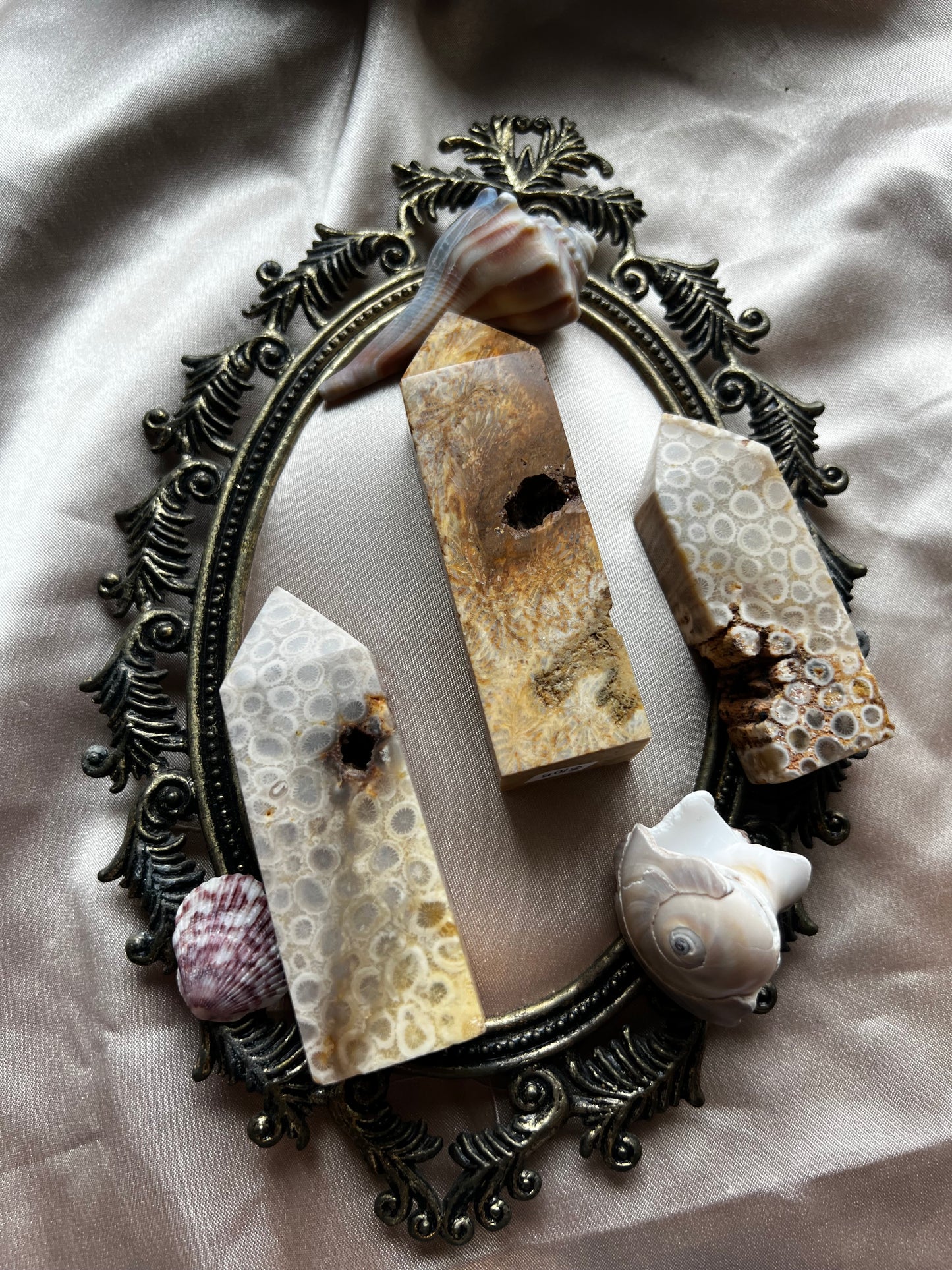 Fossilized Coral Towers