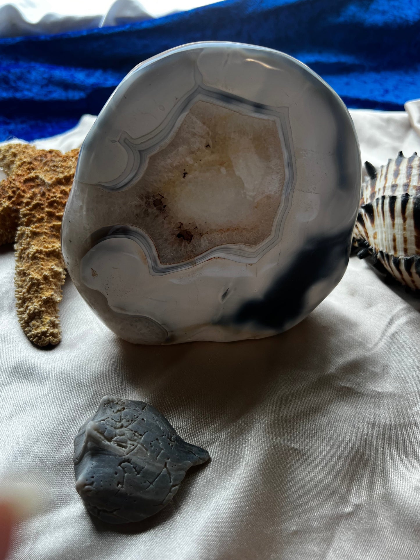 Orca Agate Freeform