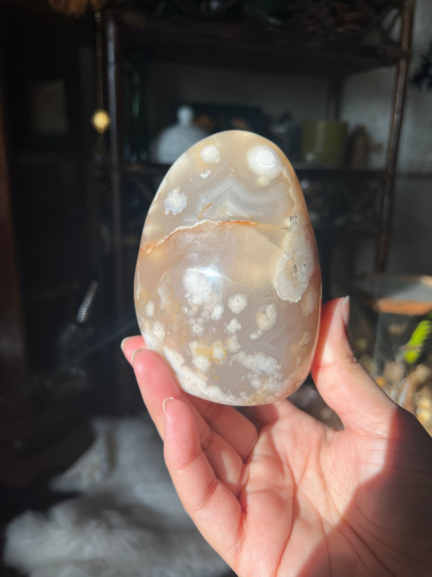 Flower Agate Freeforms