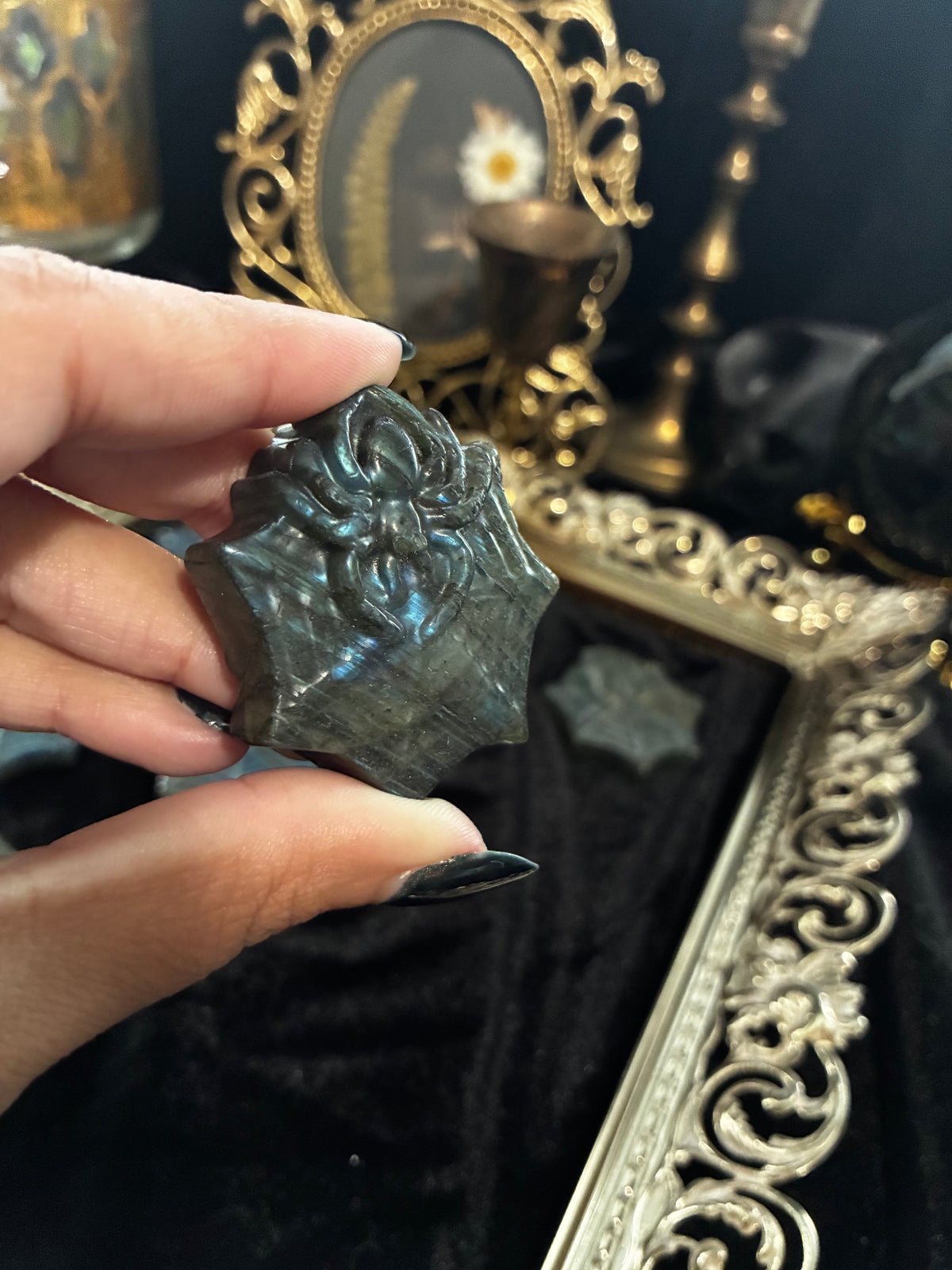 Labradorite Spiders in Webs