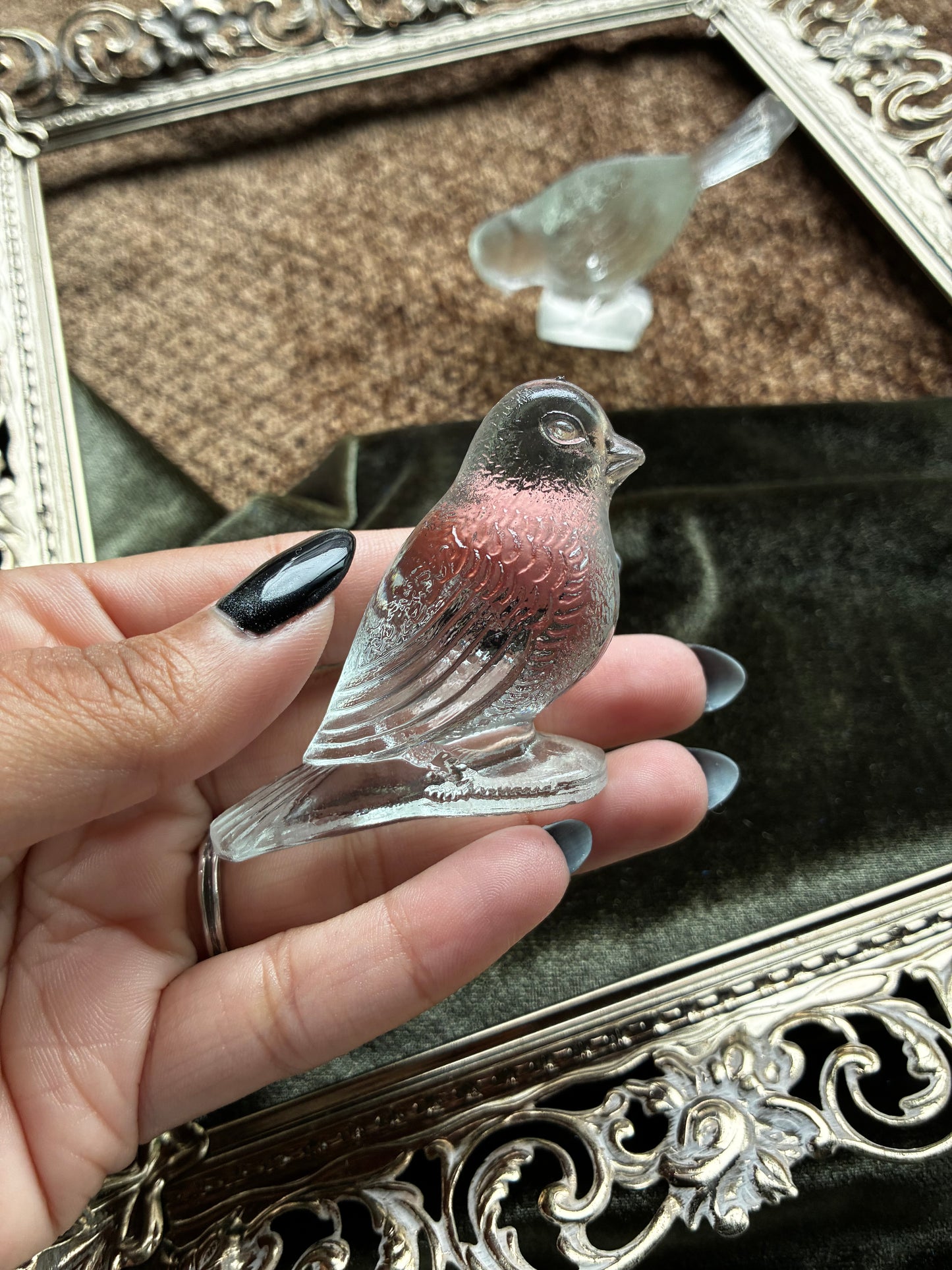 Glass Birds