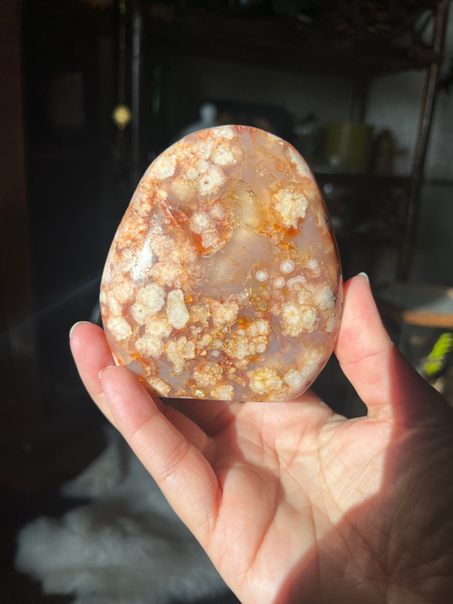 Flower Agate Freeforms