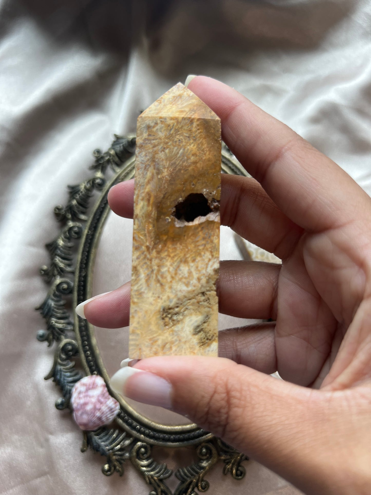 Fossilized Coral Towers
