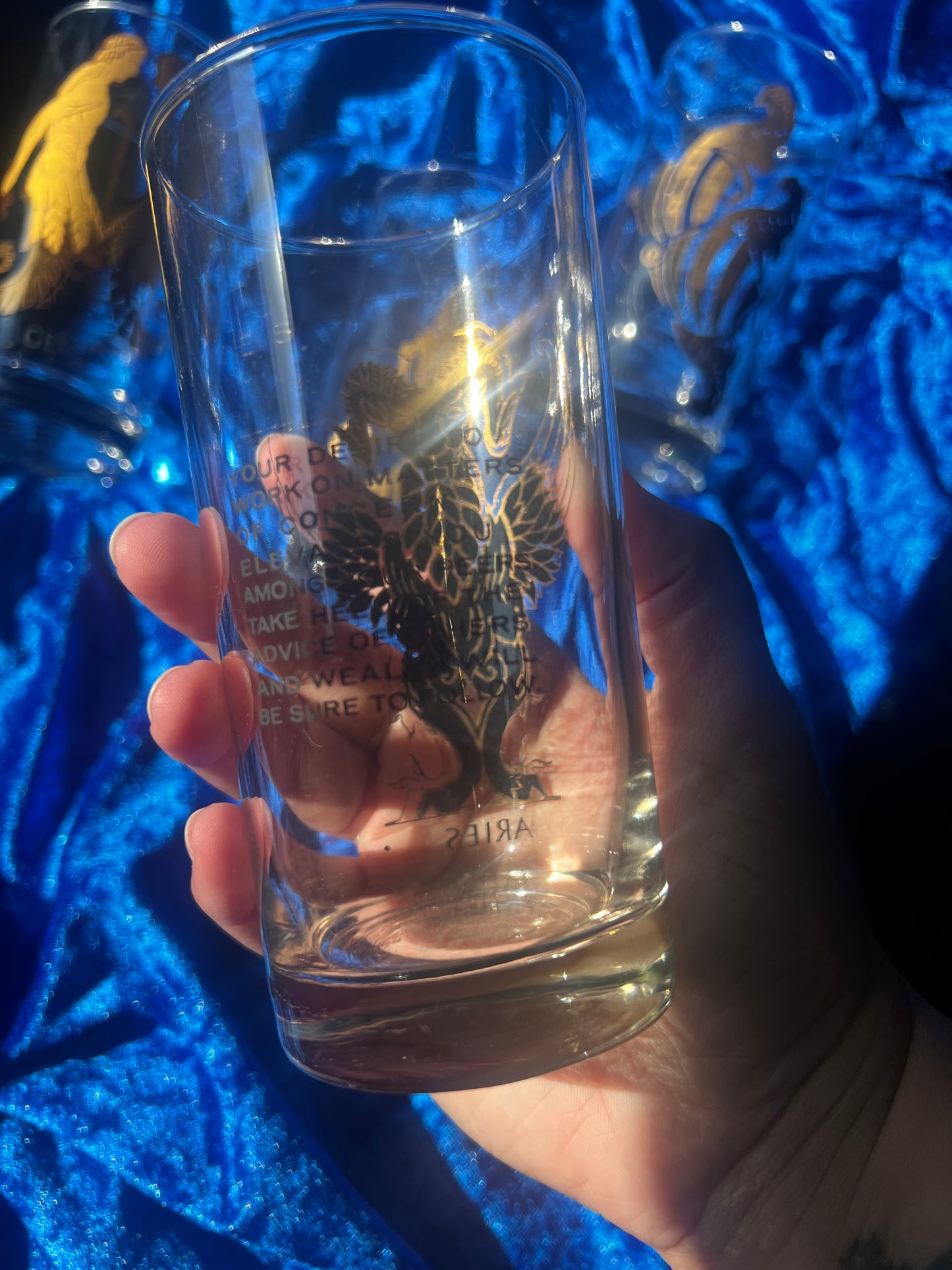 Vintage Zodiac Glass Cups