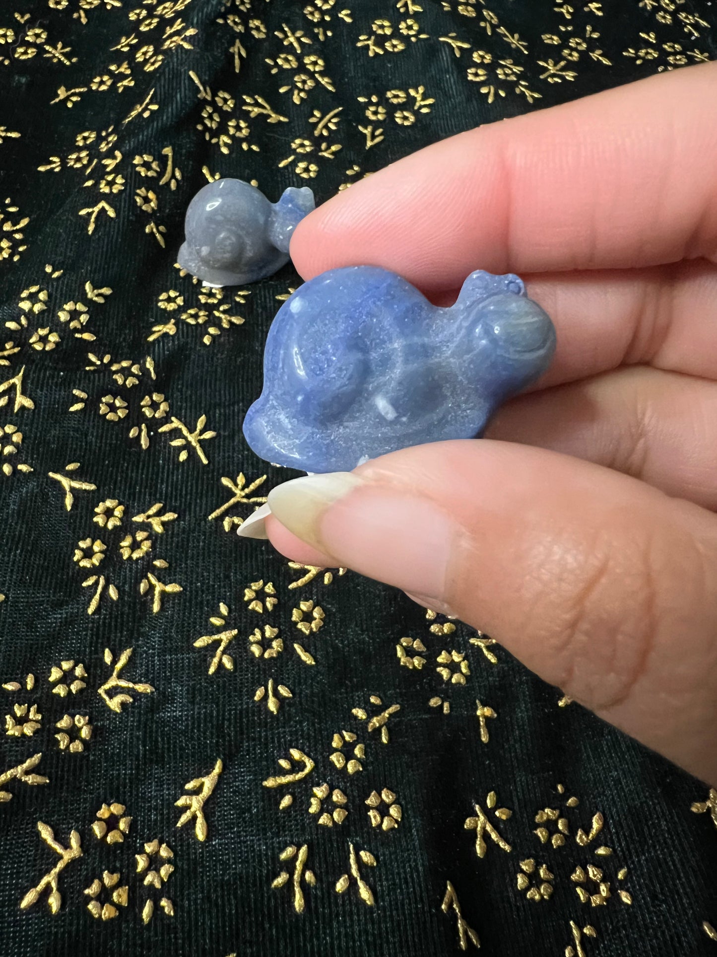 snail carvings