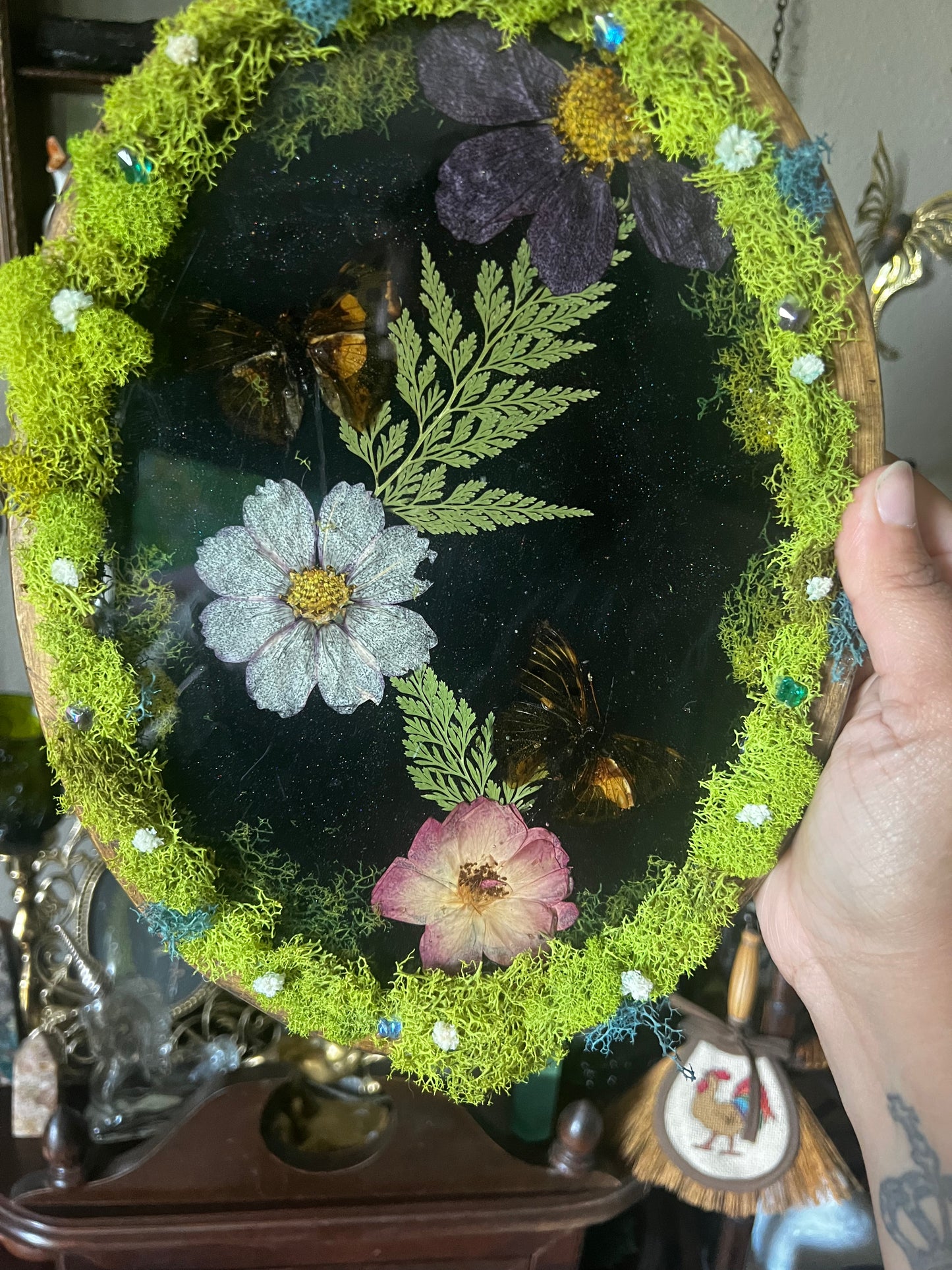 real butterfly resin plaque